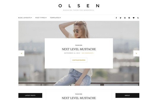 CSS Igniter Olsen Blogging WordPress Theme