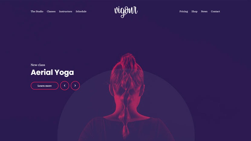 Cssignither Vigour WP Theme