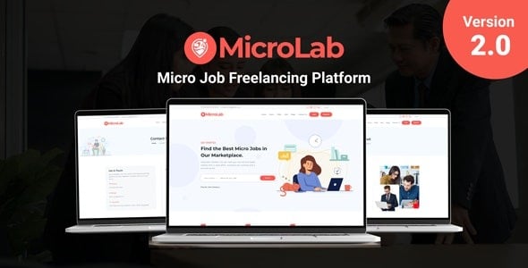 MicroLab Micro Job Freelancing Platform