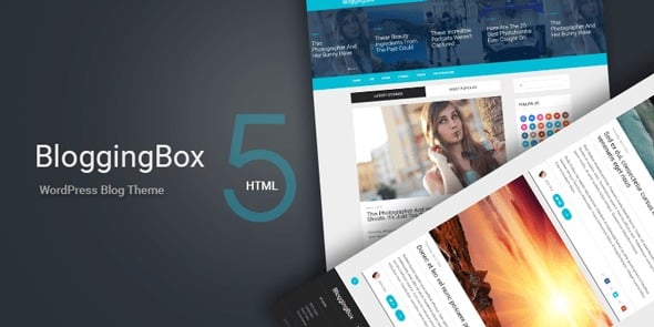 MyThemeShop BloggingBox WordPress Theme