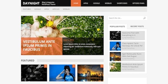 MyThemeShop Daynight WordPress Theme