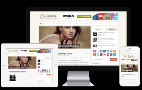 MyThemeShop Minimalia WordPress Theme