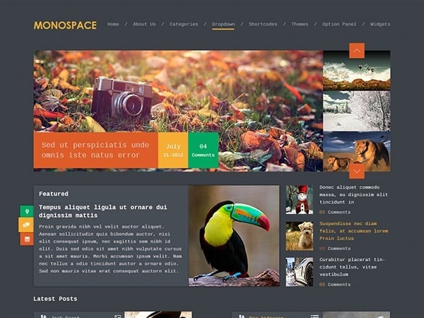 MyThemeShop Monospace WordPress Theme