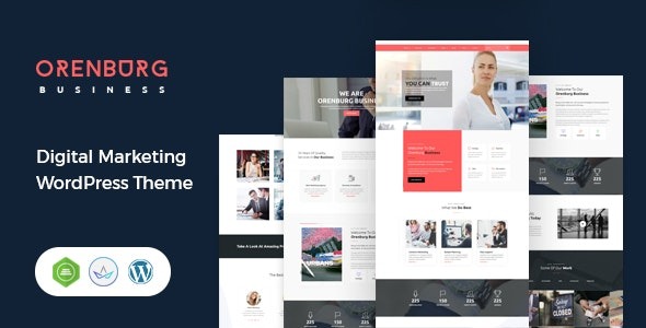 Orenburg Business Consulting WordPress Theme