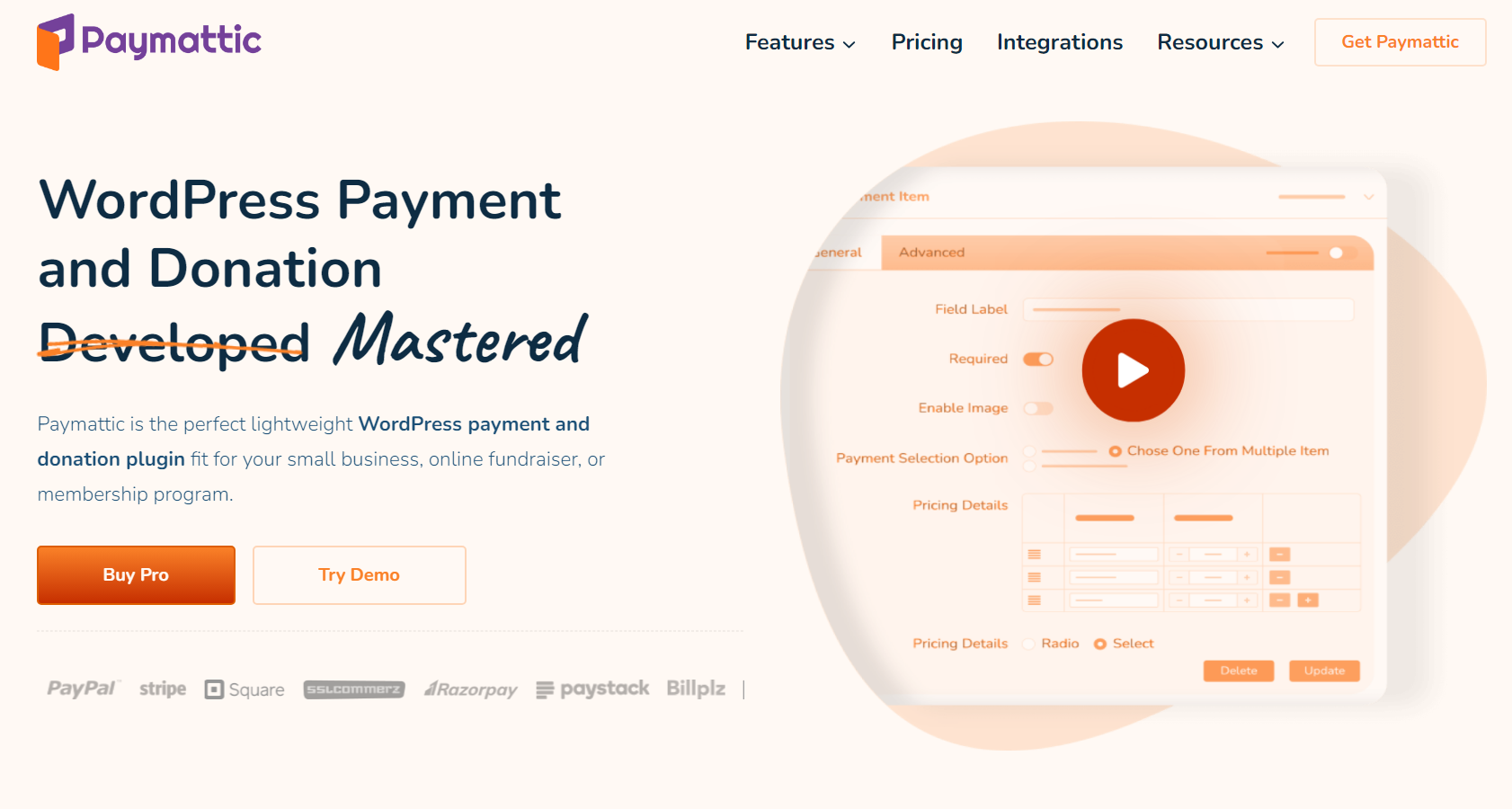 Paymattic Pro - WordPress Payment and Donation