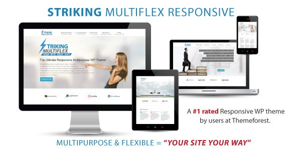 Striking MultiFlex & Ecommerce Responsive WP Theme