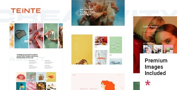 Teinte Creative Portfolio and Design Theme