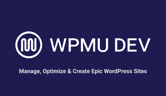 WPMU DEV Branda Pro (Ultimate Branding)