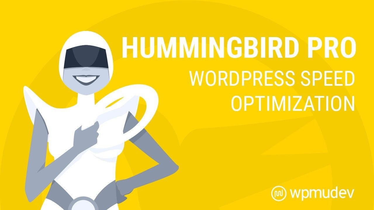 WPMU DEV Hummingbird Pro