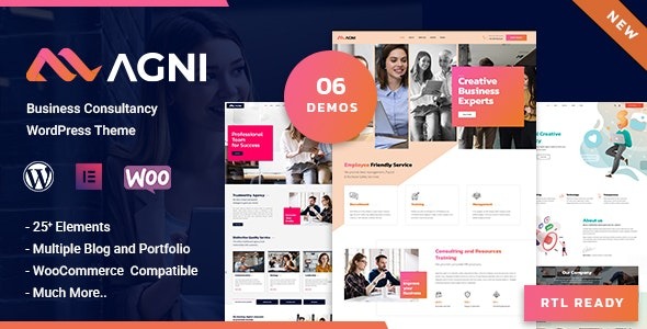 Agni - Business Consulting WordPress Theme