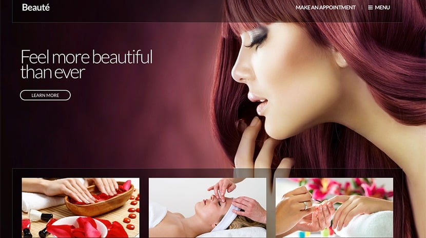 CSS Igniter Beaute WordPress Theme