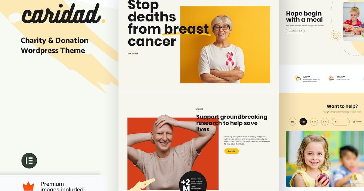 Caridad - Charity WordPress