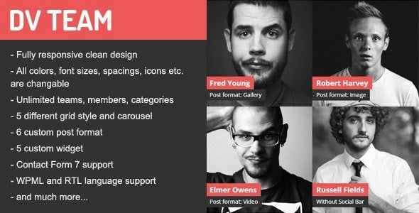 DV Team - Responsive Team Showcase WordPress Plugin