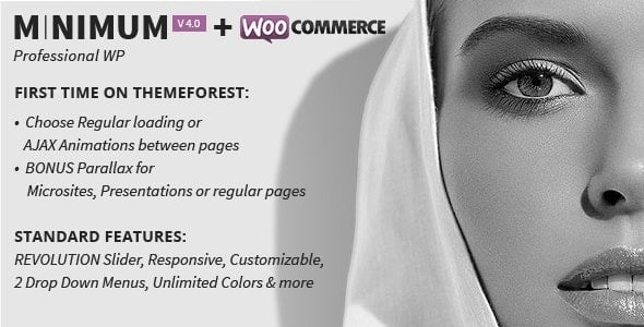 MINIMUM - Professional WordPress Theme