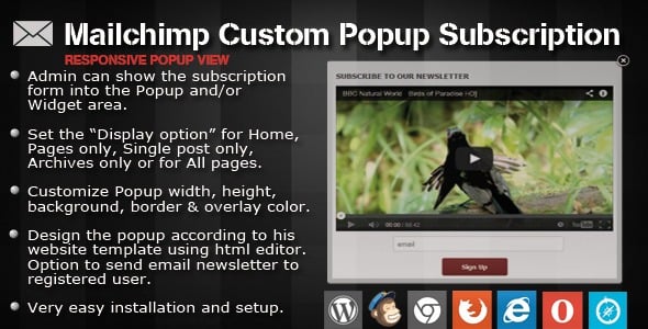 Mailchimp Custom Popup Subscription For WordPress