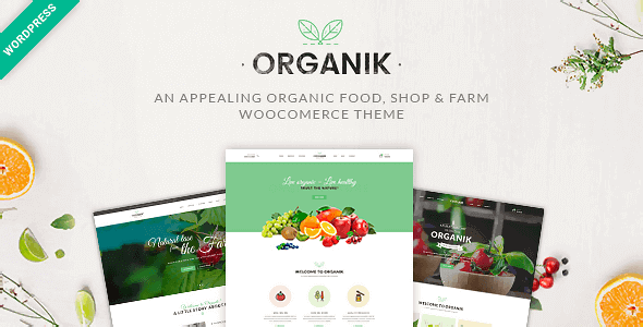 Organik Organic Food Store WordPress Theme