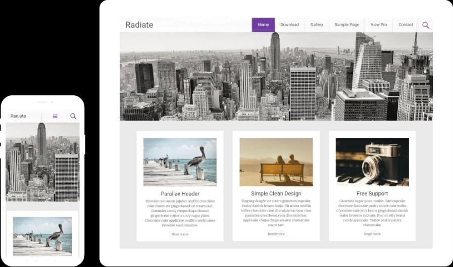 Radiate Pro Favourite theme of Bloggers