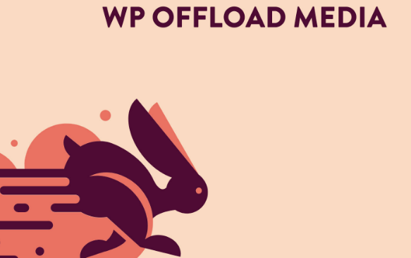 WP Offload Media Pro + Plugins Assets Pull Addon