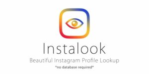 InstaLook Instagram Profile Lookup Script