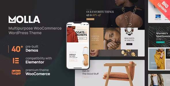 Molla - Multi-Purpose WooCommerce Theme